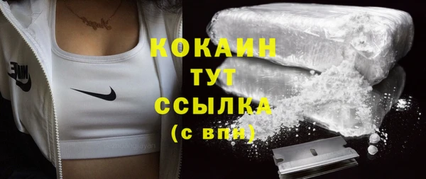 ECSTASY Каменка