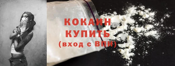 молекула духа Каменск-Шахтинский