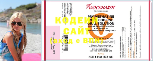 ECSTASY Каменка