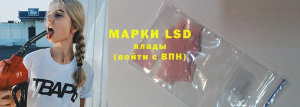 молекула духа Каменск-Шахтинский