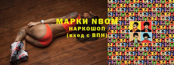 ECSTASY Каменка