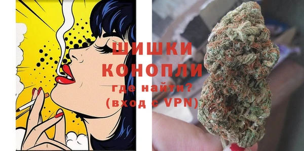сатива Инта