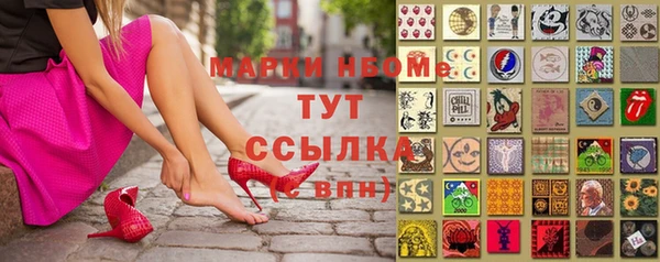 трава Карпинск