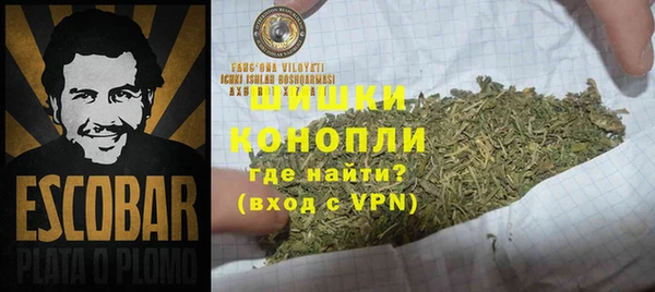 спиды Каменногорск