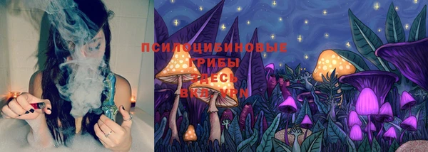 молекула духа Каменск-Шахтинский