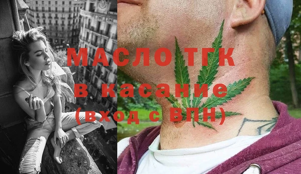 сатива Инта