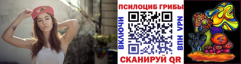 где можно купить Краснознаменск блэк спрут вход Псилоцибиновые грибы MAGIC MUSHROOMS